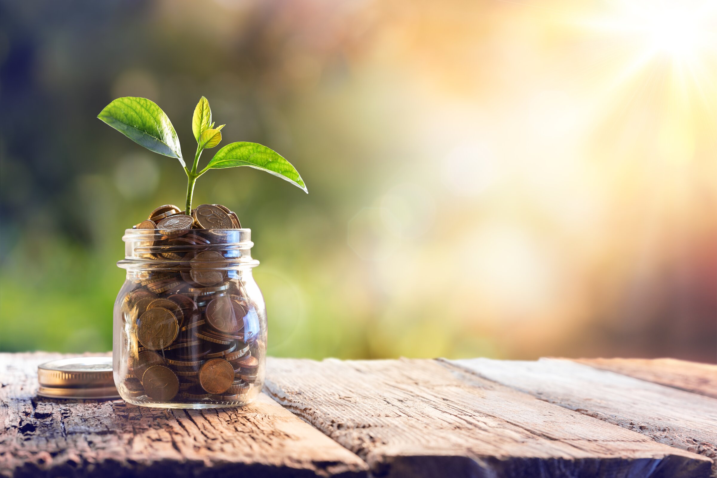 Glasgefäß mit Münzen und wachsender Pflanze – Symbol für Aufstiegs-BAföG und finanzielle Förderung der Weiterbildung