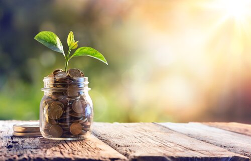 Wachsende Pflanze in einem Glas voller Münzen steht für nachhaltige Förderung und finanzielle Unterstützung von Solo-Selbstständigen.
