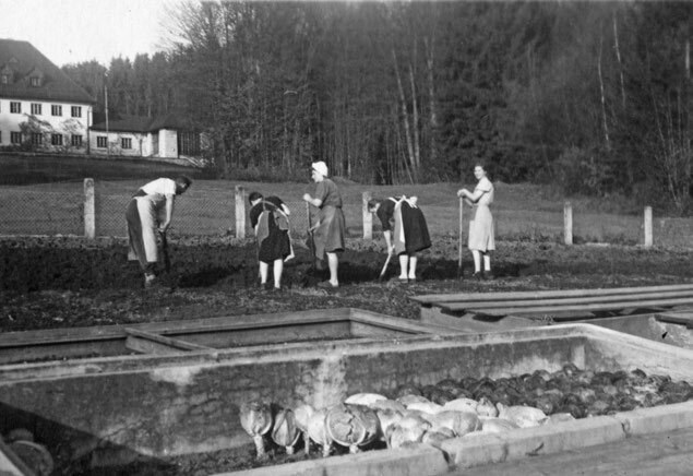 Schwarz-Weiß-Fotografie von Kindern und Betreuerinnen bei der Gartenarbeit im Gemüsegarten des Kinderkurheims Westerham