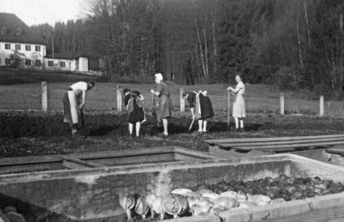 Schwarz-Weiß-Aufnahme aus den 1930er Jahren: Kinder und Erwachsene arbeiten im Gemüsegarten des Kinderkurheims Westerham, umgeben von Beeten und Wiesen mit Blick auf das Haupthaus