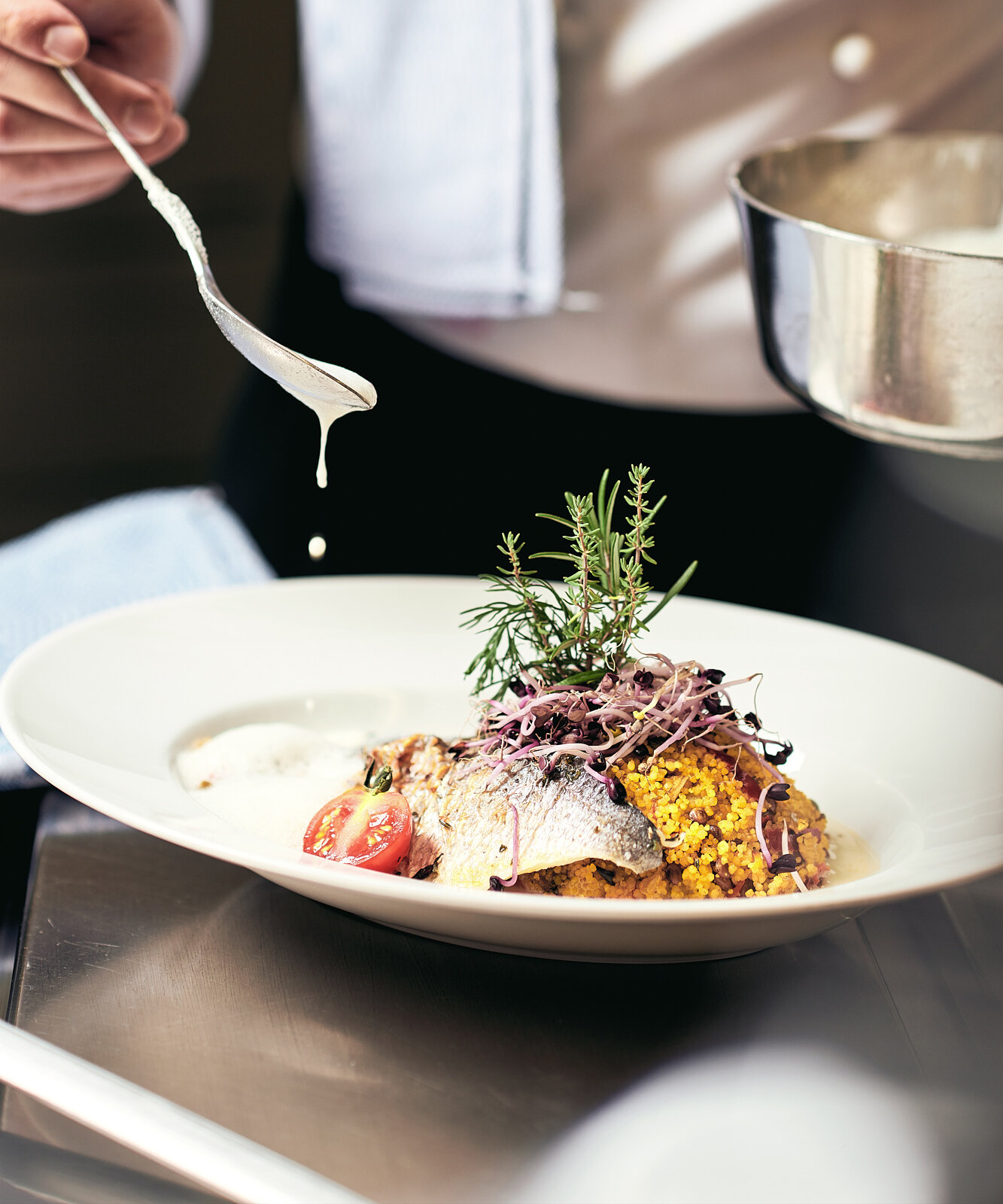 Gourmetgericht wird von Koch kunstvoll angerichtet mit Sauce und frischen Kräutern.