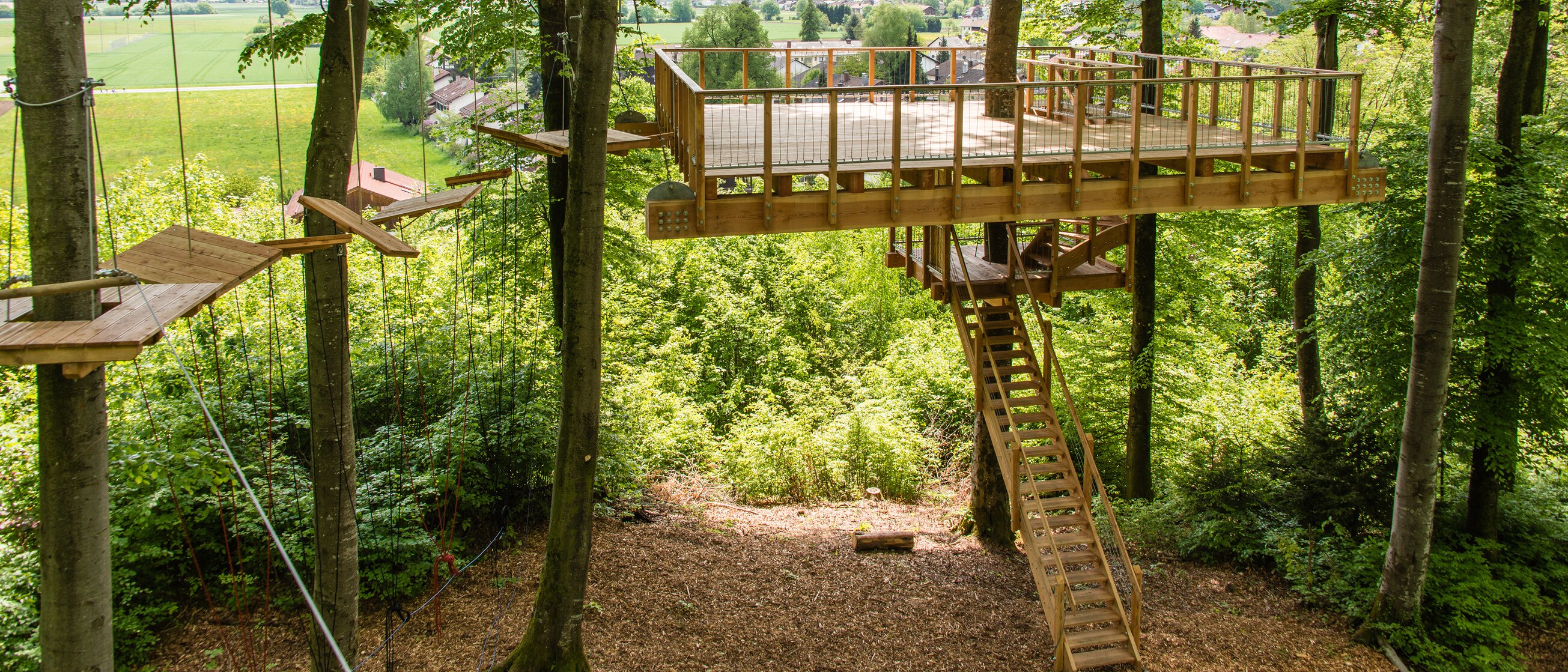Leere Baumplattform im Wald mit Blick auf das Alpenvorland – inspirierender Outdoor-Tagungsort für Workshops und Meetings im Grünen nahe München