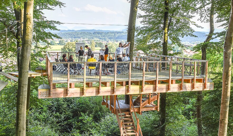 baumplattform im wald mit gruppe menschen und weitem talblick für outdoor-events