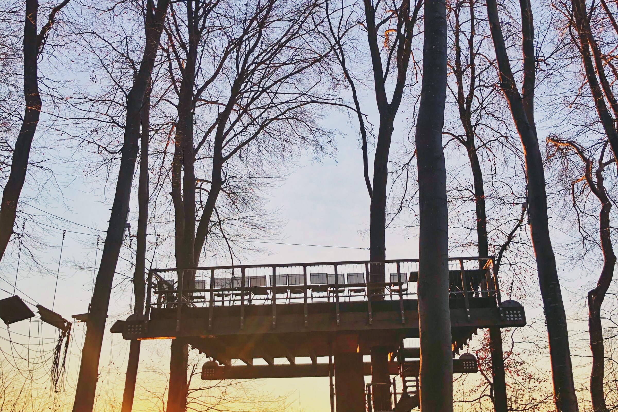 Holzplattform zwischen hohen Bäumen im warmen Licht des Sonnenuntergangs
