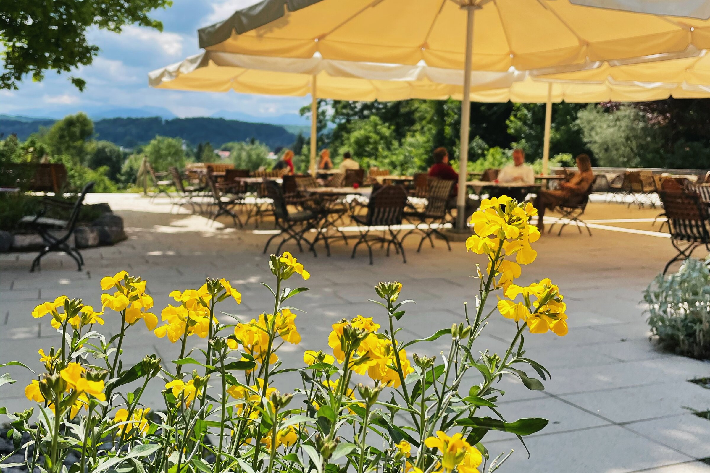 Sonnenterrasse der Akademie Westerham mit blühenden Blumen und Blick auf die bayerische Landschaft