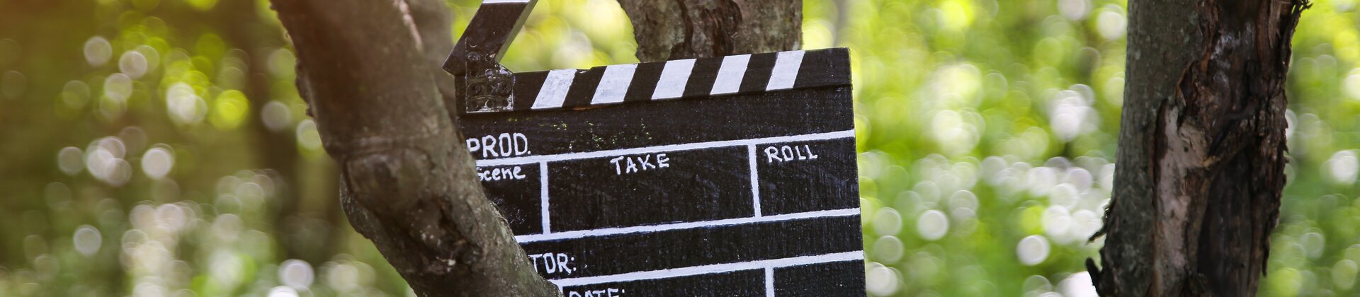 Filmklappe hängt zwischen Baumstämmen im Wald