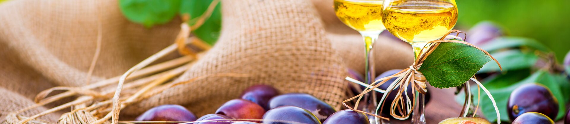 Zwei Gläser Obstbrand mit Zwetschgen als Symbol für den Lehrgang Junior Destillateur/-in IHK und handwerkliche Destillation.