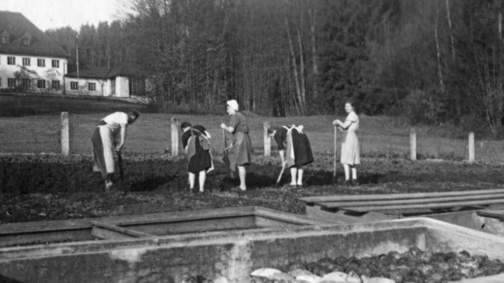 Westerham Historie: Ernte im eigenen Gemüsegarten