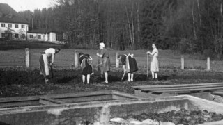 westerham_historie_gemueseernte