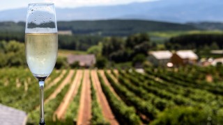 champagner_landschaft_adobestock