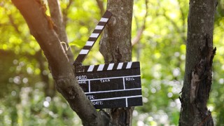 Black clapperboard hanging on the tree in park . Directing and filming of some amateur cinema movie.